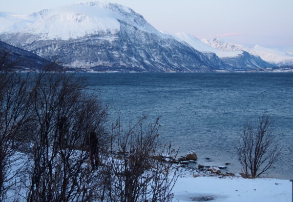 Dans les fjords norvégiens