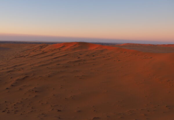 Dans le désert du Namib