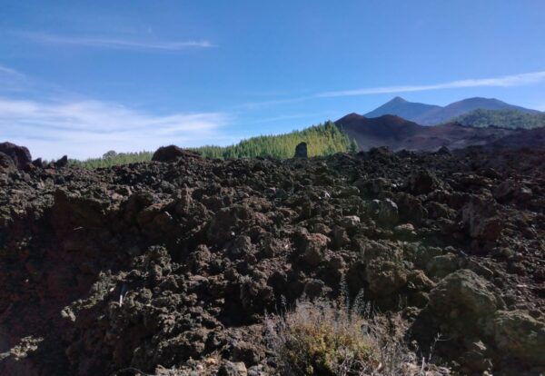 Petites anecdotes de Tenerife