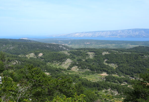 Au milieu des îles