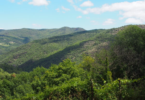 Au cœur des Cévennes jusqu’au hameau de Lébou