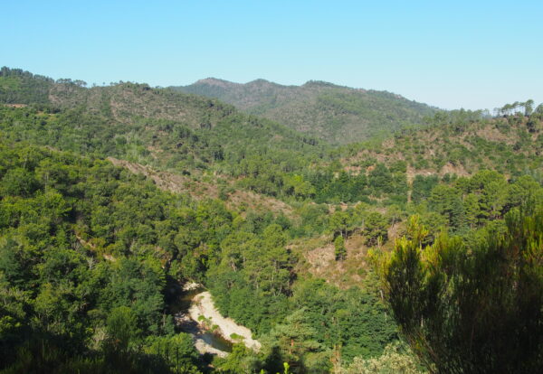 Sur les traces de Stevenson jusque St Jean du Gard