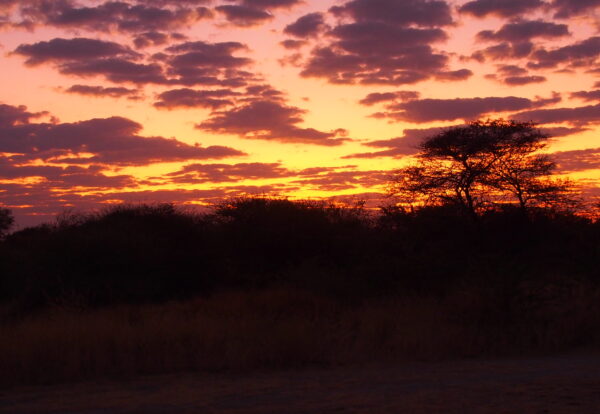 A l’aventure en Namibie