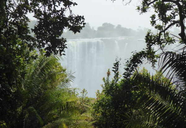 Devant les chutes Victoria