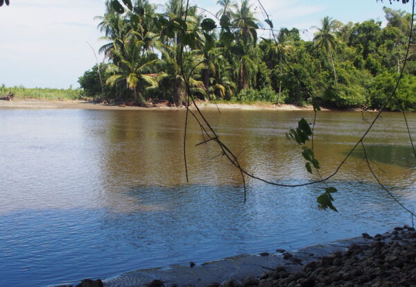 Dans le parc Corcovado